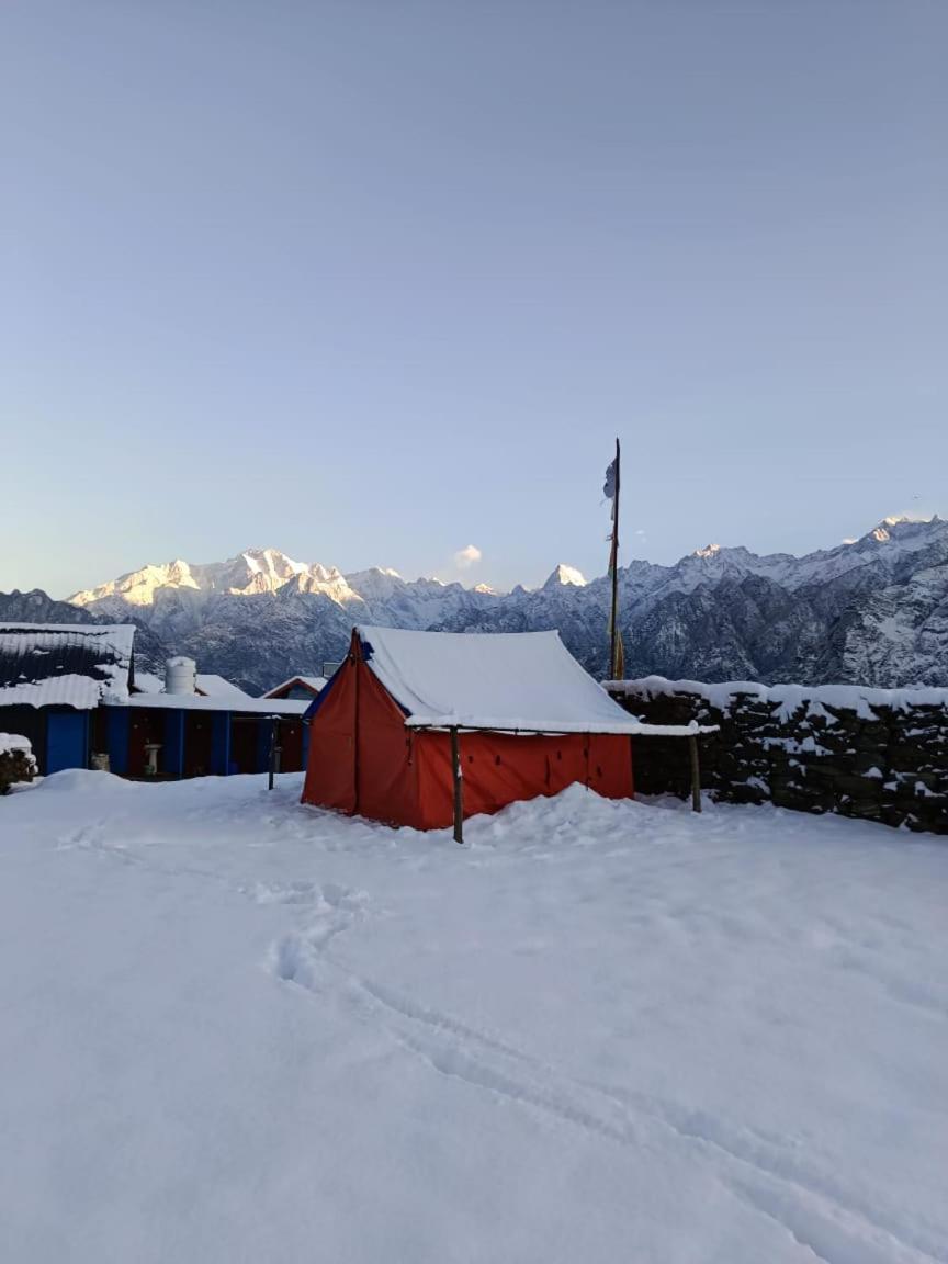Himalayanbuddhaadventureaulicamp Hotel Joshimath Exterior photo